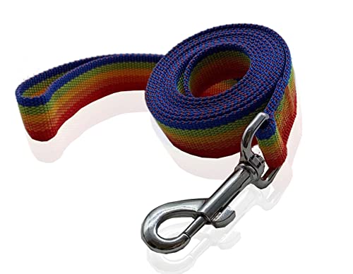 Nylon-Hundeleine, 2,5 m lang, für mittelgroße und große Hunde (2,5 cm x 3,6 m, Regenbogen) von SALO