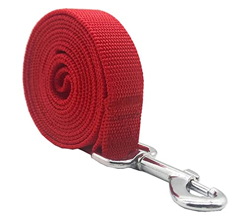 Nylon-Hundeleine, 2,5 m lang, für mittelgroße und große Hunde (2,5 cm x 3,6 m, Rot) von SALO