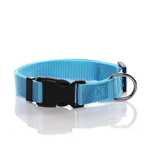 SALO Hund Hundehalsband, Hunde Halsband, Nylon, verstellbar, für mittelgroße und große Hunde, 2,5 cm breit, Blau von SALO