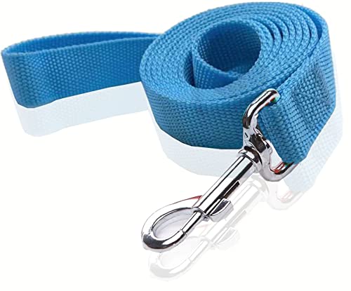 SALO Robuste Hundeleine aus Nylon, 1,8 m lang, für mittelgroße und große Hunde, 2,5 cm breit (blau) von SALO