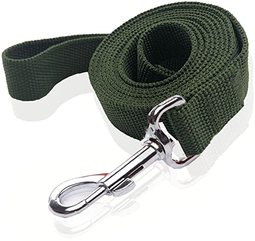 Nylon-Hundeleine, 4,8 m lang, für mittelgroße und große Hunde (2,5 cm x 4,9 m, Grün) von SALO