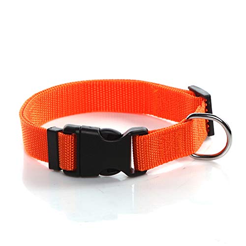 SALO langlebigem Nylon Hund Halsband, Verstellbar Halsbänder für Mittlere Große Hunde, 2,5 cm Breit, Orange von SALO