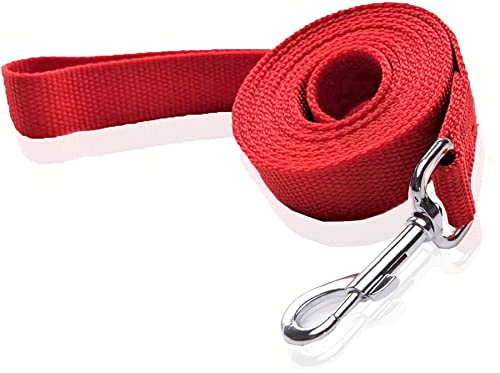 Nylon-Hundeleine, 2,5 m lang, für mittelgroße und große Hunde (2,5 cm x 2,4 m, Rot) von SALO