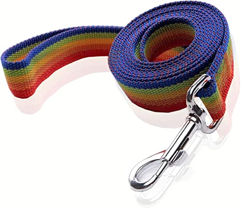 Nylon-Hundeleine, 1,5 m, 1,5 m lang, für mittelgroße und große Hunde, 2,5 cm breit (2,5 cm x 1,8 m, Regenbogen) von SALO