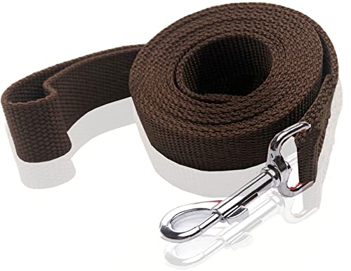 Nylon-Hundeleine, 1,2 m, 1,5 m lang, für mittelgroße und große Hunde, 2,5 cm breit, 2,5 cm x 1,2 m, Braun von SALO