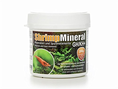 SaltyShrimp Shrimp Mineral GH/KH+ | 200g – Mineralsalz. Speziell für Haltung & Zucht von Garnelen entwickelt. Für neutrales Aquariumwasser & Remineralisierung von SALTYSHRIMP