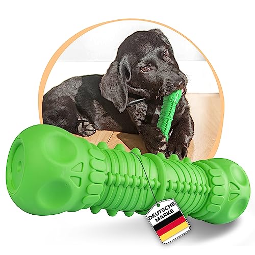 SAMNIS® - Kauspielzeug Hund - Grün - Besonders robuster Premium Naturkautschuk - Unzerstörbares Hundespielzeug bei normalem kauen - hundespielzeug quietschend für kleine Hunde (Grün - Klein) von SAMNIS