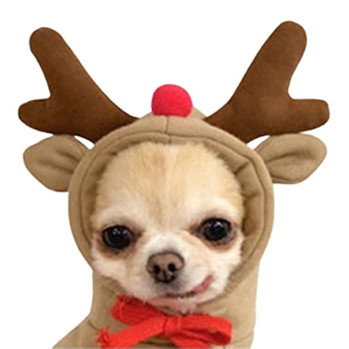 SANWOOD Haustier-Hunde-Kapuzen-Kleidung mit Herzhut, einfarbig, atmungsaktiv, Stoff, Teddy-Kapuzenpullover, Mantel für Haustiere, Größe M 7 von SANWOOD