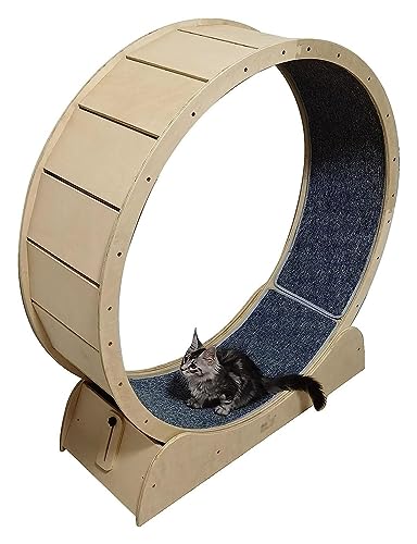 Laufrad Für Katzen, Katzenlaufrad Laufrad, Haustierfreundliches Katzenlaufband, Tiny Gap Katzenlaufrad for Hauskatzen, Spielzeug for kleine/mittlere/große Haustiere(100cm/39.4") von SAPDMBDBBSH