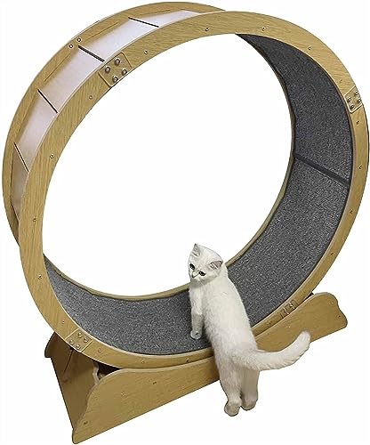 SAPDMBDBBSH Laufrad Für Katzen, Katzenlaufrad Laufrad, Leises Riesenrad for kleine/große Katzen, Tiny Gap Katzenrad mit Laufrad, Katzenmöbel(100cm/39.4") von SAPDMBDBBSH