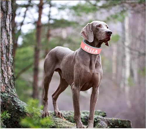 SARUEL Personalisierte Hundehalsband-Halskette,Breit Gepolstert,Haustier-ID-Halsbänder,Hunde-Namenshalsbänder Für Kleine,Mittelgroße Und Große Hunde,Rosa,L von SARUEL