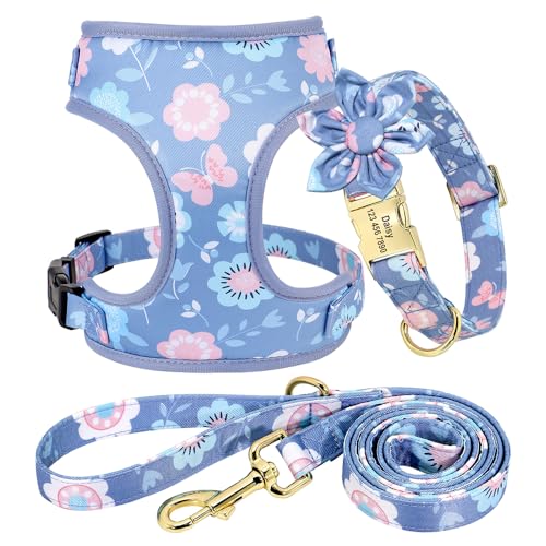 SARUEL Personalisiertes Hundehalsband-Geschirr Und Leine-Set,Verstellbar,Individuelles Namensschild-Zubehör,Haustier-Welpenhalsband,Geschirr,Perro Mops,Blau,L von SARUEL