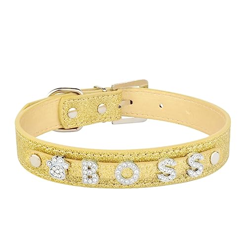 SARUEL Verstellbares Nylon-Halsband,Personalisierte Hunde- Und Katzenmarke,Hundehalsbänder,Welpen,Mittelgroße Hunde,ID,Benutzerdefinierte DIY-Namenshalsbänder,Leuchtendes Gold,S von SARUEL