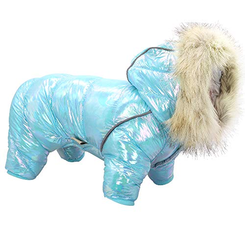 SARUEL Warme Hundekleidung Winter Haustier Welpen Jacke Mantel wasserdichte Hundekostüm Kleidung Für Kleine Mittelgroße Hunde Chihuahua,C,12 von SARUEL