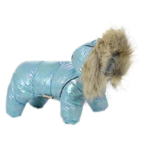 SARUEL Winddichte Hundekleidung,Kapuzenpullover Für Kleine Hunde,Welpen,Teddy,Schnauzer,Mit Baumwolle Gepolsterte Kleidung,Heller Hundemantel,Winter-Haustier-Daunenjacke,Blau,14 von SARUEL