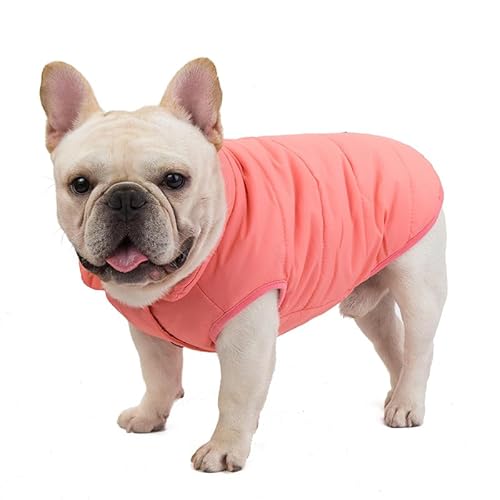 SARUEL Winter-Hundekleidung,Verdickte Warme Hundejacke Für Kleine Mittelgroße Hunde,Welpenmantel,Französische Bulldogge,Baumwollkleidung,York-Haustierkostüm,C,M von SARUEL