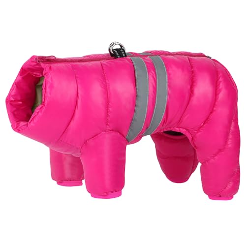 SARUEL wasserdichte Winter-Hundekleidung,Super Warme,Reflektierende Haustierjacke,Kleidung,Winddichter Haustier-Mädchen-Jungen-Hundemantel Für Kleine,Mittelgroße Hunde,Rose,22 von SARUEL