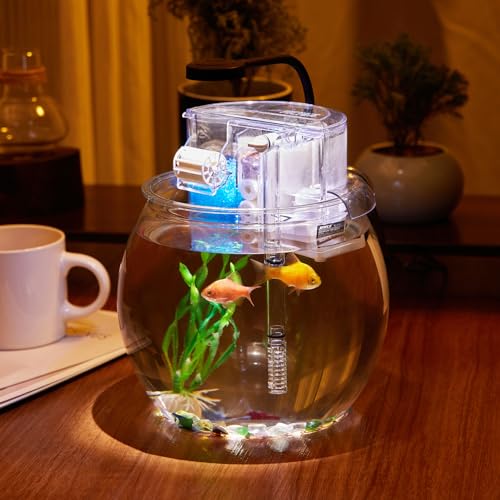 Aquarium, klein, bruchfest, Kunststoff, Betta-Fischschale, PET, transparent, rund, Terrarium, Schreibtisch, goldenes Aquarium mit Filter und Licht, 3,5 l von SARUFO