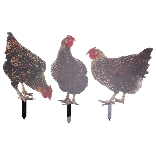 SASKATE 3pcs Rooster Garden Stake Acryl Bunte Lebensee Wetterfeste Hühnerhof -Steckstatue -Dekoration für den Außengarten Im Hinterhof Rasen Im Freien von SASKATE