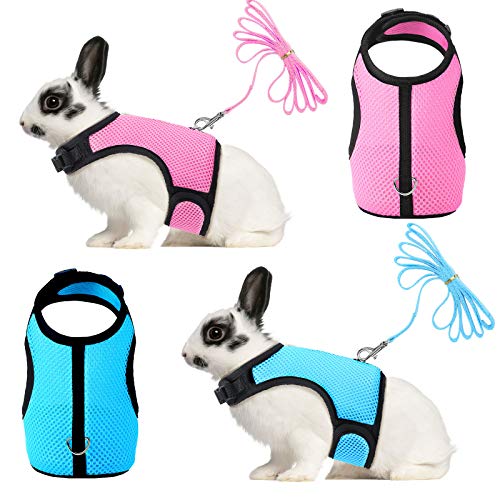 2 Stücke Hase Kaninchen Geschirr mit Leine Niedliche Verstellbare Schnalle Atmungsaktive Mesh Weste für Kätzchen Hündchen Klein Haustiere Gehen (Blau, Rosa, L) von SATINIOR