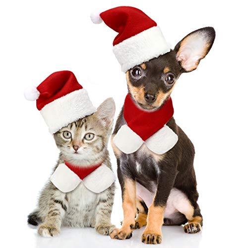 3 Sets Katze Weihnachtsmütze mit Schal Weihnachten Haustier Outfit Verstellbares Haustier Kostüm Set Haustier Weihnachtsmann Kleidung Welpe Hündchen Weihnachtsmütze Neujahr von SATINIOR