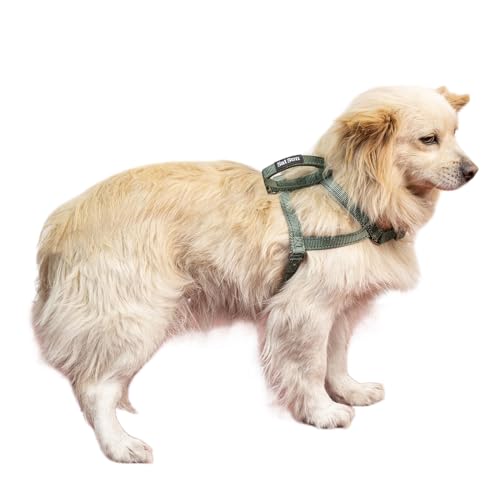 SATSUN Hundegeschirr, für kleine Hunde, kein Ziehen, mit 2 verstellbaren Punkten und 1 Leinenclip, reflektierend, bequeme Hundeweste mit leicht zu kontrollierendem Griff, ideal für Spaziergänge und von SATSUN