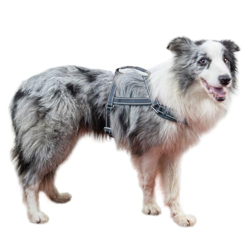 SATSUN Hundegeschirr für große Hunde, kein Ziehen, mit 2 verstellbaren Punkten und 1 Leinenclip, reflektierend, bequeme Hundeweste mit leicht zu kontrollierendem Griff, ideal für Spaziergänge und von SATSUN