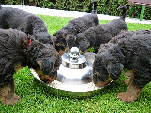 SunnyDogs Welpennapf | runder Welpen Fressnapf | Welpen Futternapf für Hundekinder aus rostfreiem Edelstahl | Welpenring Ø 39 cm mit Knauf von SAUERLAND