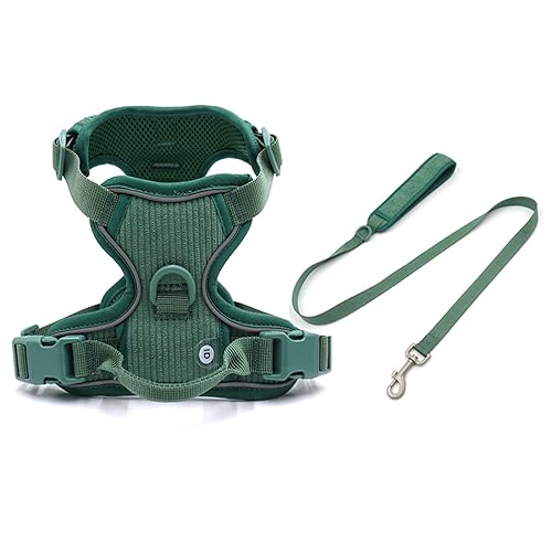 Personalisiertes Hundegeschirr Großer Hund Weich Gepolstert No Pull Harness Weste Benutzerdefiniertes Hundehalsband und Leine Set Luxus Haustier Geschenkset (Farbe: Geschirrleine, Größe: L Halsband von SAVOMA