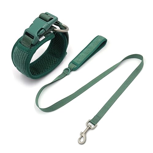 Personalisiertes Hundegeschirr Großer Hund Weich Gepolstert No Pull Harness Weste Benutzerdefiniertes Hundehalsband und Leine Set Luxus Haustier Geschenkset (Farbe: Halsbandleine, Größe: S Halsband von SAVOMA