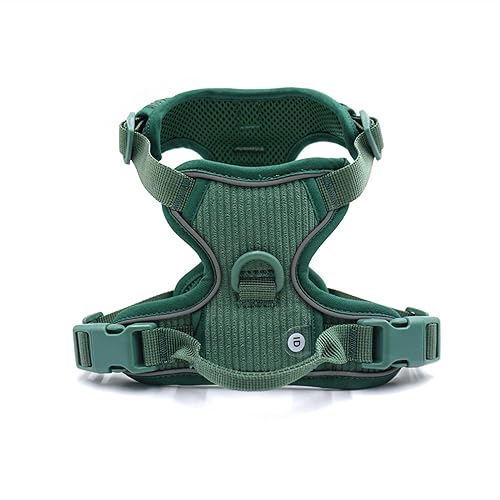 Personalisiertes Hundegeschirr Großer Hund Weich Gepolstert No Pull Harness Weste Benutzerdefiniertes Hundehalsband und Leine Set Luxus Haustier Geschenkset (Farbe: Personalisiertes Geschirr, Größe: S von SAVOMA