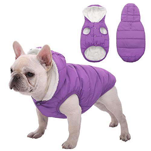 Hunde-Fleece-Kapuzenpullover, winddicht, wasserdicht, Fleece und Baumwolle, gefüttert, warme Hundejacke, kaltes Wetter, Haustierbekleidung, Kleidung, Brustumfang 65 cm-84 cm, Violett) von SAWMONG