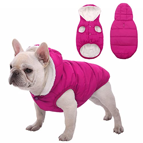 Hunde-Fleece-Kapuzenpullover, winddicht, wasserdicht, Fleece & Baumwolle gefüttert, warme Hundejacke, Haustierbekleidung, Weste für kleine, Brustumfang 57.9 cm - 65.6 cm, Rosa) von SAWMONG