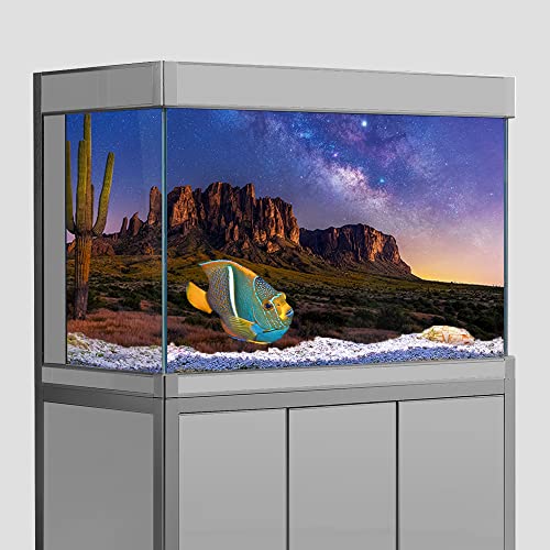 Reptilien Habitat Terrarien Aquarium Hintergrund Aufkleber, Oasis Kaktus Wüste Sternenhimmel HD Druck Tapete Hintergrund Dekorationen PVC Landschaft Poster (15,7 x 23,6 (40 x 60 cm) von SB little