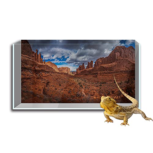 Reptilien Habitat Terrarien Hintergrund Aufkleber Himmel Oasis Kaktus Sonne Wüste HD Druck Tapete Aquarium Hintergrund Dekorationen PVC Landschaft Poster (11,8 x 23,6 (30 x 60 cm)) von SB little