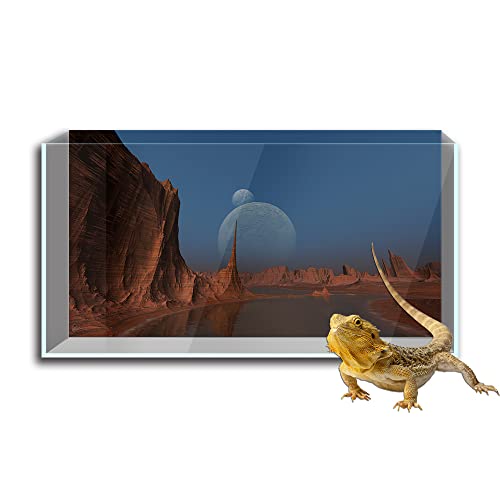 Reptilien Habitat Terrarien Hintergrund Aufkleber Weltraum Mars Oberfläche Wüste HD Druck Tapete Aquarium Hintergrund Dekorationen PVC Landschaft Poster (19,6 x 31,4 (50 x 80 cm)) von SB little