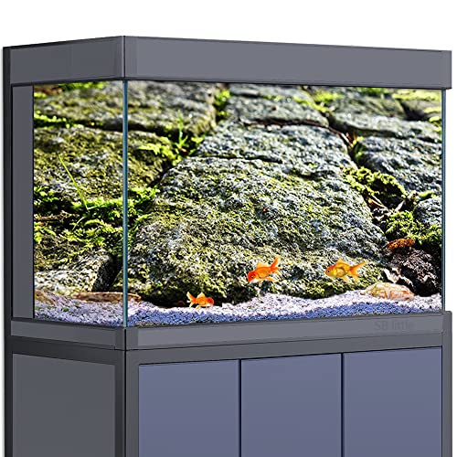 SB little Aquarium-Hintergrund-Aufkleber, Dekoration für Aquarien, Reptilien-Lebensraum, Pflasterstein, Weg, gepflastert, HD-3D-Poster (40 x 60 cm) von SB little