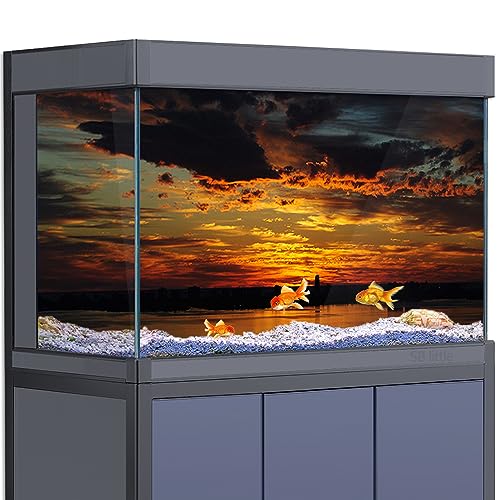 SB little Aquarium Hintergrund Aufkleber Dekoration für 5-55 Gallonen Fischtanks, Dawn Clouds Ocean Bay HD 3D Reptilien Habitat Poster (40 x 80 cm) von SB little