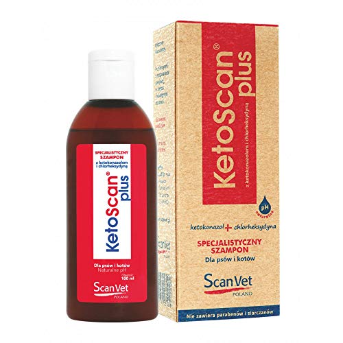 SCANVET KetoScan Plus 100ml Es ist für die Pflege der Haut von Hunden und Katzen bestimmt, die zu Schuppen, Dermatosen und Entzündungen des pilzlichen und bakteriellen Hintergrunds neigen von SCANVET