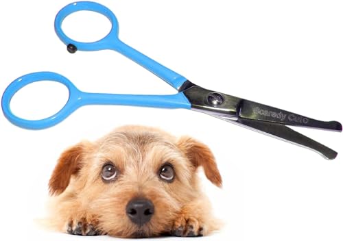 Tiny Trim Schere mit Kugelspitze, 11,4 cm, für Hunde-, Katzen- und alle Haustierpflege, Ohr, Nase, Gesicht und Pfote, kleine Sicherheitsschere von Scaredy Cut, Blau von Scaredy Cut