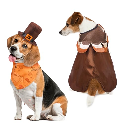 SCENEREAL Herbst-Hunde-Halstuch- und Hut-Set, Thanksgiving-Truthahn-Kostüm, Kleidung mit Kürbis-Ahornblatt-Muster, lustiges Welpen-Kostüm, Outfits für kleine, mittelgroße Hunde, Jungen, Mädchen, von SCENEREAL