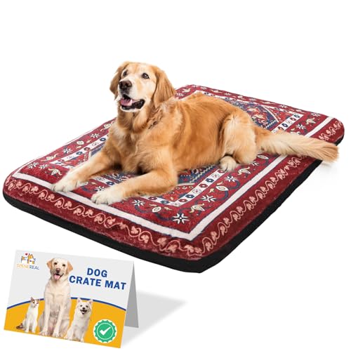 SCENEREAL Hundebett für kleine, mittelgroße und große Hunde, L von SCENEREAL