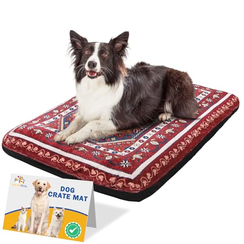 SCENEREAL Hundebett für kleine, mittelgroße und große Hunde, ML von SCENEREAL