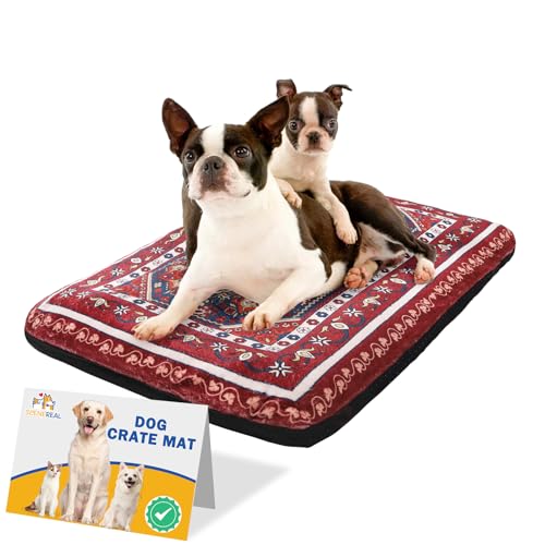 SCENEREAL Hundebett für kleine, mittelgroße und große Hunde, S von SCENEREAL