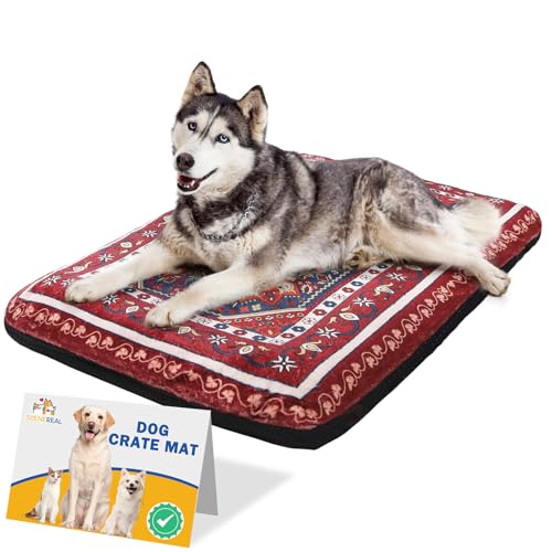 SCENEREAL Hundebett für kleine, mittelgroße und große Hunde, XL von SCENEREAL