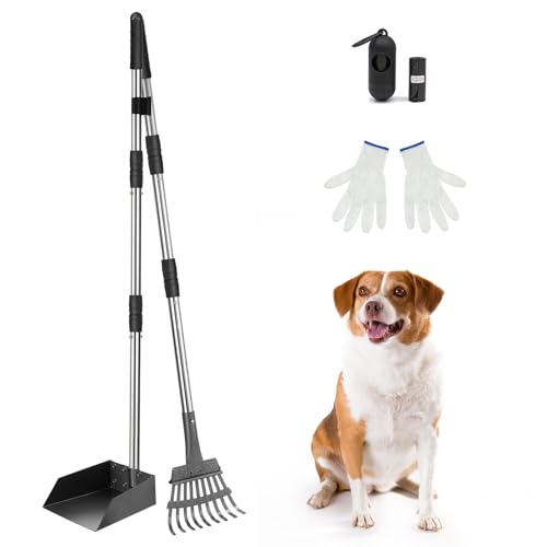 SCENEREAL Hundekotschaufel für den Hof – Tablett und Rechen Set von SCENEREAL