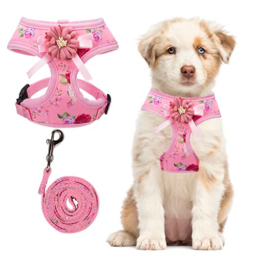 SCENEREAL No Pull Harness for Small Dogs with Leash Set, Flower Pattern Dog Harness for Summer, Adjustable Dog Chest Strap,Pet Vest Harness for Dog Puppy Training von SCENEREAL