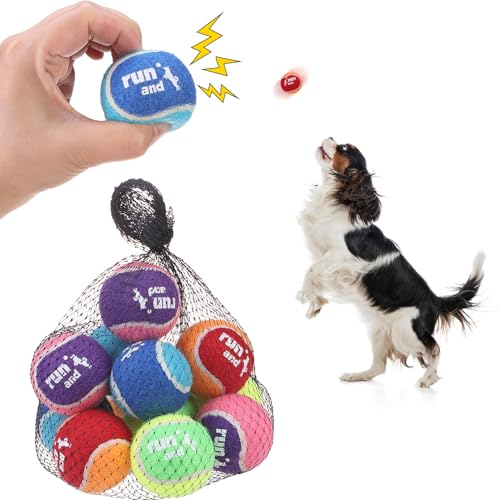 SCENEREAL Tennisbälle für Hunde, 12 Stück, 5,1 cm, Hunde-Tennisball zum Trainieren, Werfen und Apportieren, quietschendes interaktives Hundespielzeug für kleine, mittelgroße Hunde, Welpen, Katzen von SCENEREAL