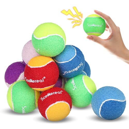 SCENEREAL Tennisbälle für Hunde, quietschendes Hundespielzeug für kleine, mittelgroße und große Hunde, robustes interaktives Kauspielzeug für Training, Übung, hohe Sprungkraft, 6,3 cm, 12 Stück von SCENEREAL