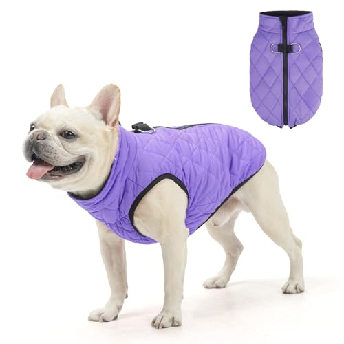 SCENEREAL Warme Hundejacke mit integriertem Geschirr für kleine und mittelgroße Hunde, wasserdichter Hundemantel für kaltes Wetter, mit Reißverschluss, Fleece-Pufferweste, winddichte Schneekleidung von SCENEREAL